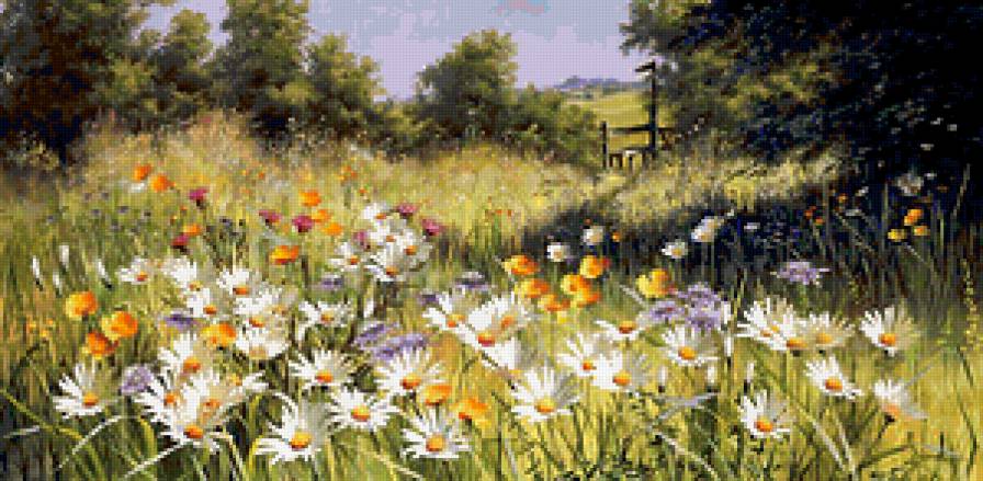 луговые цветы - лето, природа, поле - предпросмотр