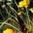 Предпросмотр схемы вышивки «луговые цветы» (№329150)