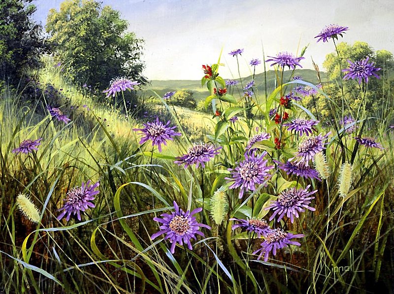 луговые цветы - лето, поле, природа - оригинал