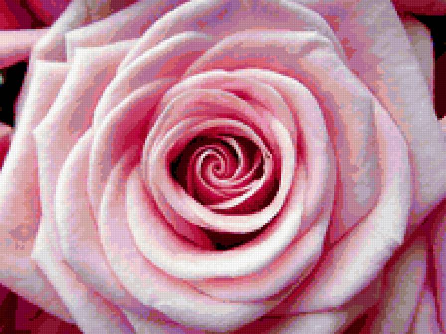 №329166 - розы, картина, цветы - предпросмотр