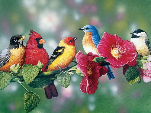 Птички - красота, пернатые - оригинал