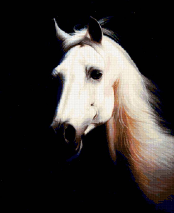 Лошадь белая - предпросмотр