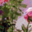 Предпросмотр схемы вышивки «Садовые розы» (№329273)