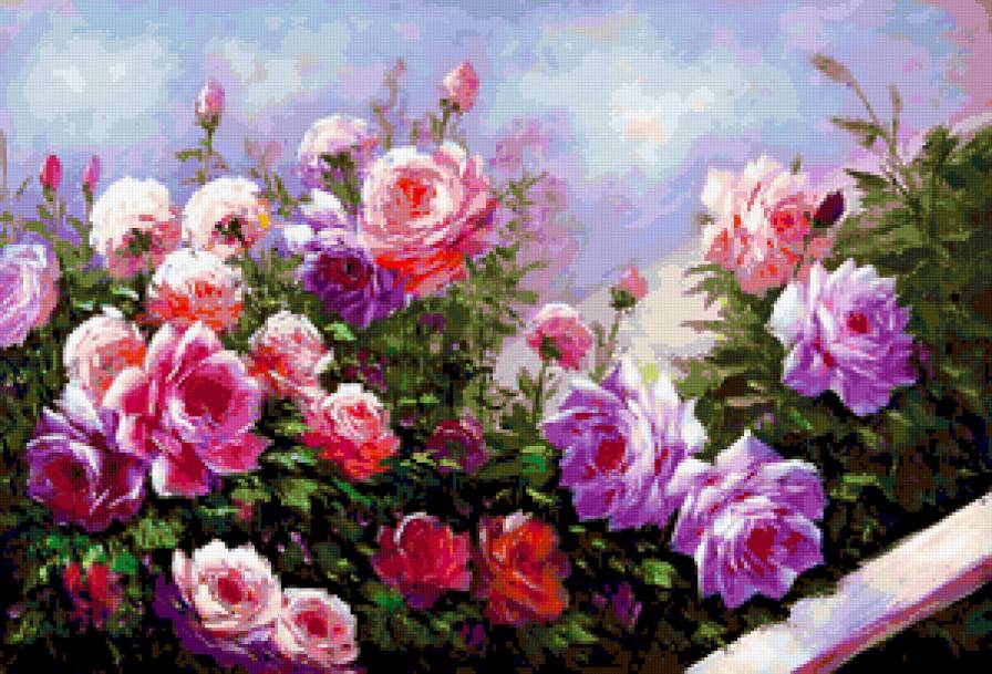 Садовые розы - предпросмотр