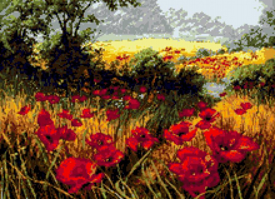 Маки в поле - цветы, лето, пейзаж - предпросмотр