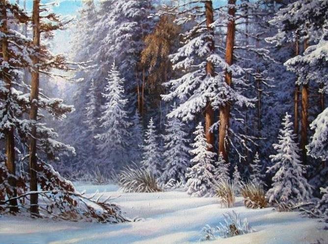 Зимний лес - снег, зима, лес - оригинал