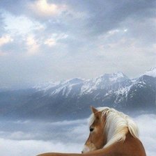 Схема вышивки «Лошадь»