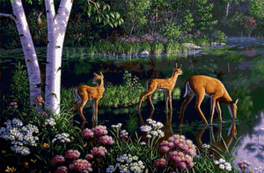 березовый край - пейзаж - предпросмотр