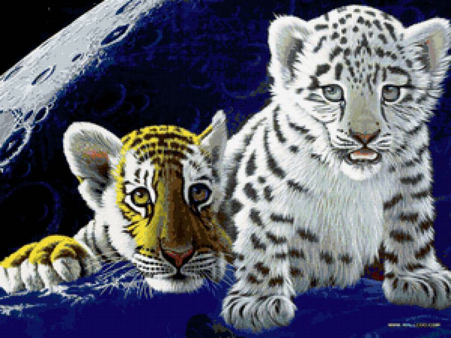 пушистые друзья - животные - предпросмотр