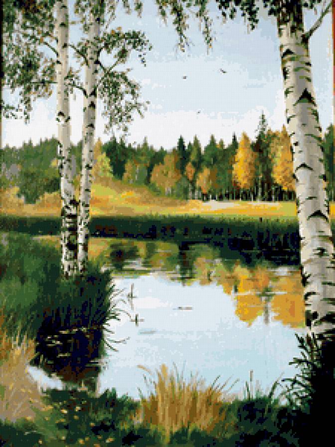 Русские берёзки - пейзаж, деревья, природа, березки, река, березы, лес, лето - предпросмотр