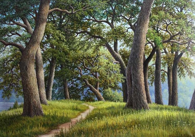 Серия "Пейзажи" - пейзаж, лето, тропинка - оригинал