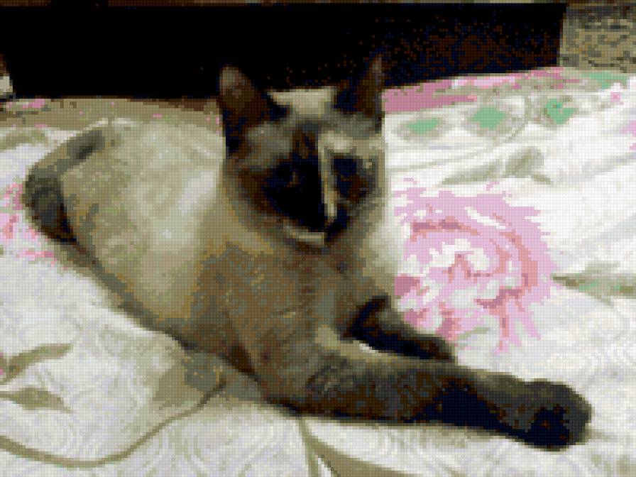 №329926 - предпросмотр