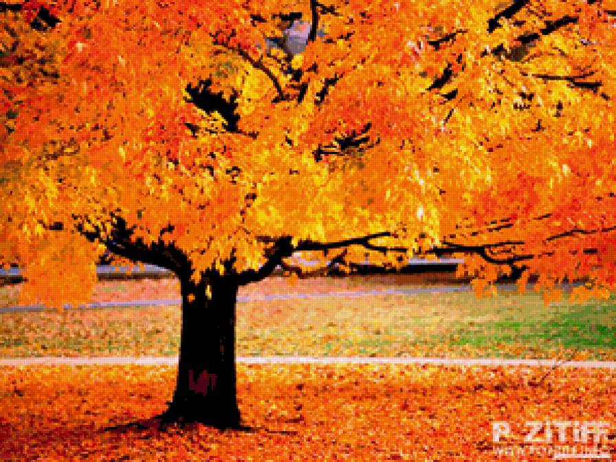 осень - предпросмотр