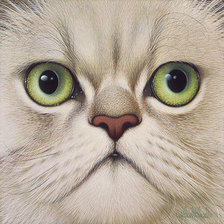 Схема вышивки «кот»