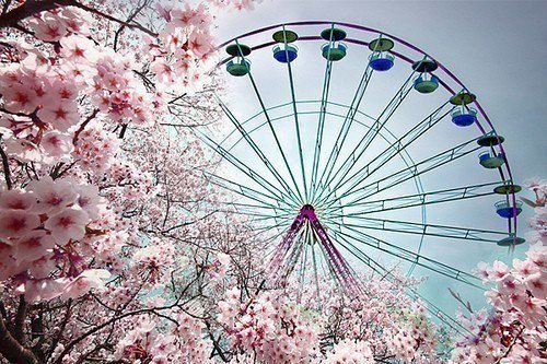 Весна - весна, яблони - оригинал