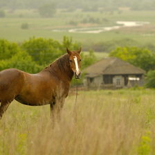 Схема вышивки «№330284»