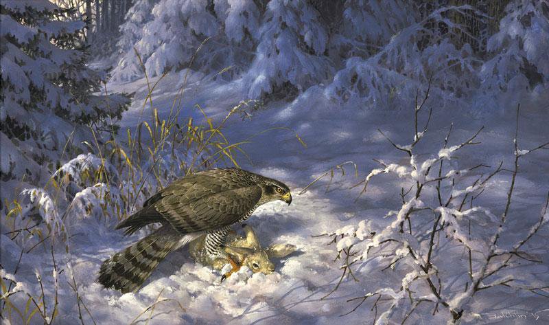 0088 - зима, птицы, красота, картина, орел, природа - оригинал