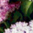 Предпросмотр схемы вышивки «Сирень» (№330418)