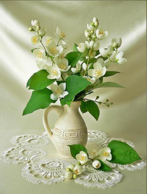 Жасмин - букет, цветы - оригинал