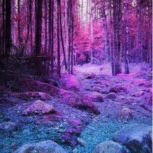 Схема вышивки «фиолетовый лес»