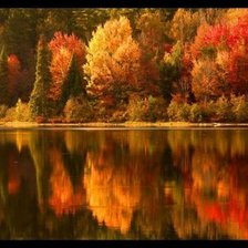 Схема вышивки «огненный лес»