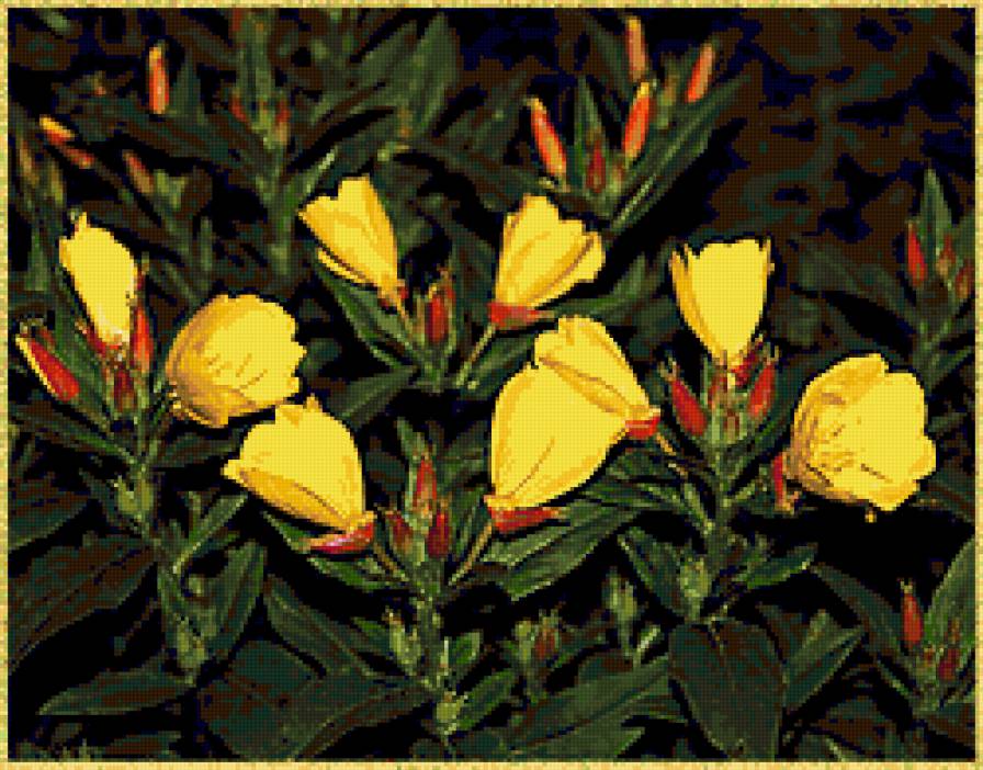 №330470 - цветы - предпросмотр