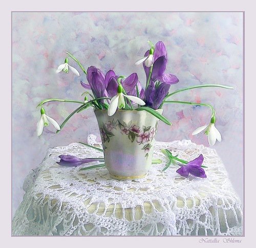 №330486 - весна, ирисы, букет, подснежники, натюрморт, цветы - оригинал