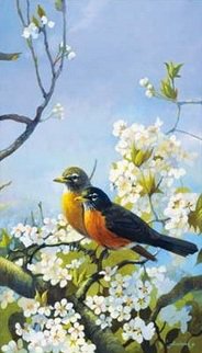 №330521 - оригинал