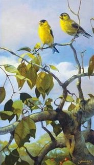 №330522 - оригинал