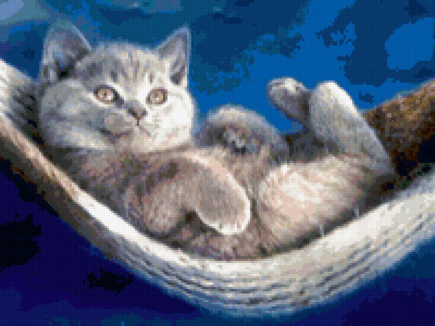 котик - животные, котенок - предпросмотр