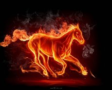 Огненная лошадь - лошадь, животные, огонь - оригинал