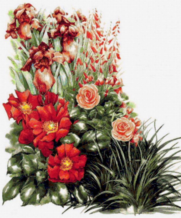 цветы - цветы - предпросмотр