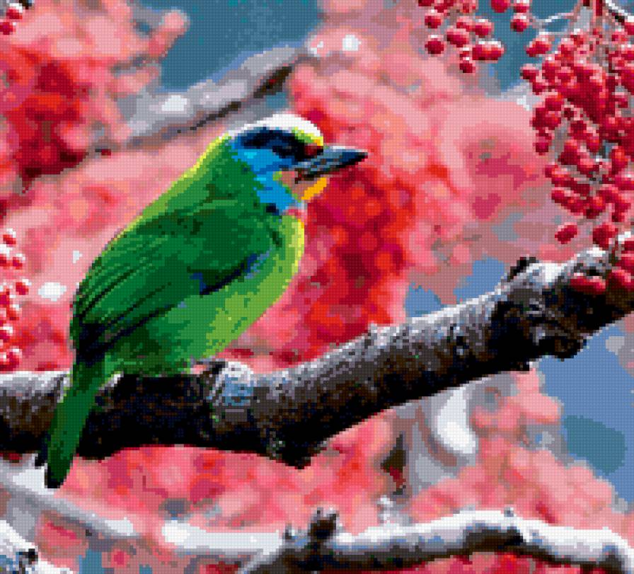 рябина и птица - предпросмотр