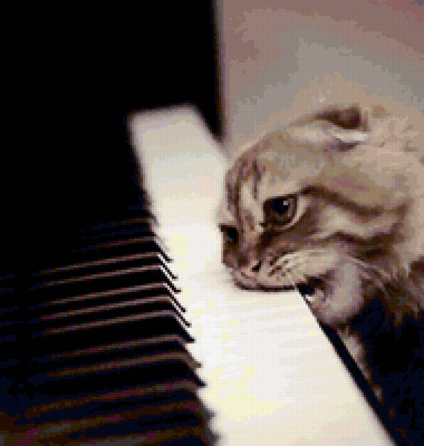 фортепиано и кот - предпросмотр