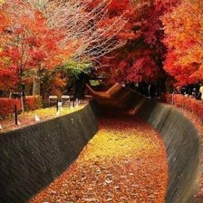 Схема вышивки «осенний лес»