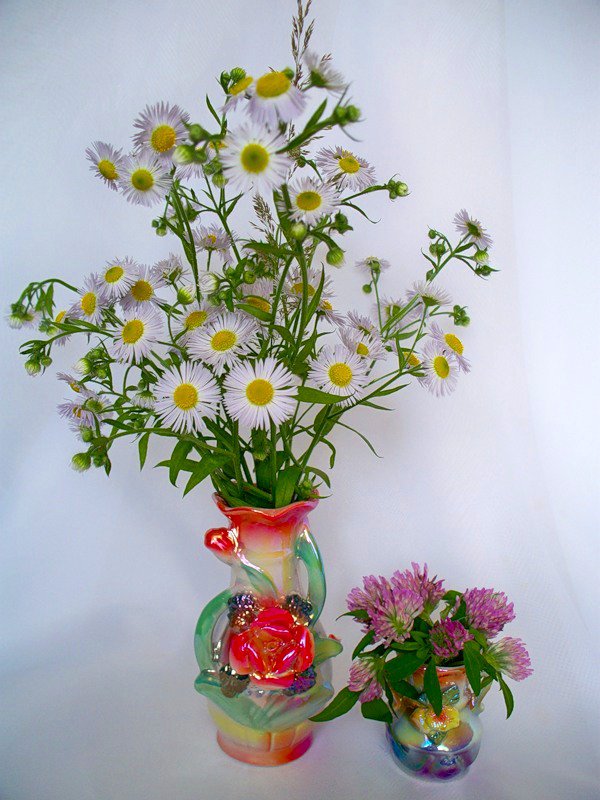 №330996 - букеты, натюрморт, цветы - оригинал