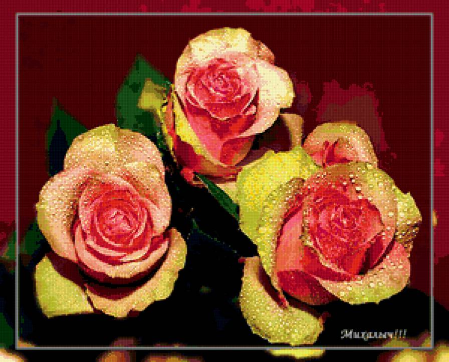 розы - розы, цветы, букет, капли - предпросмотр