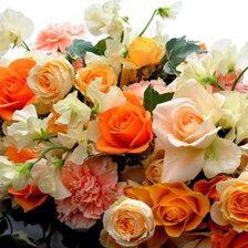 Схема вышивки «№331023»