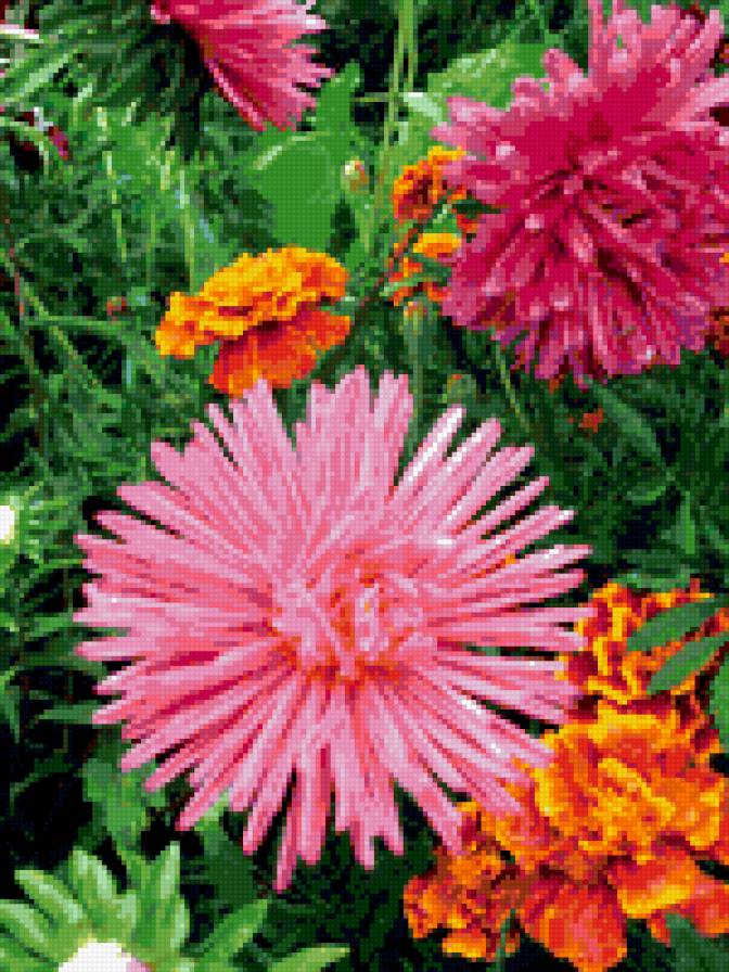 №331057 - цветы - предпросмотр