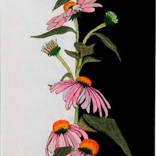 Схема вышивки «№331083»