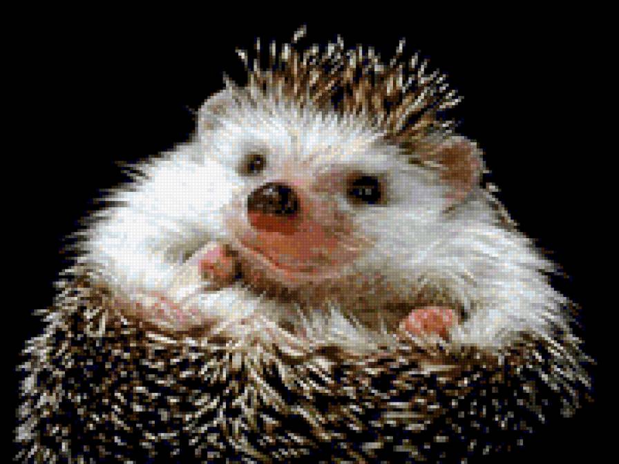 №331219 - предпросмотр