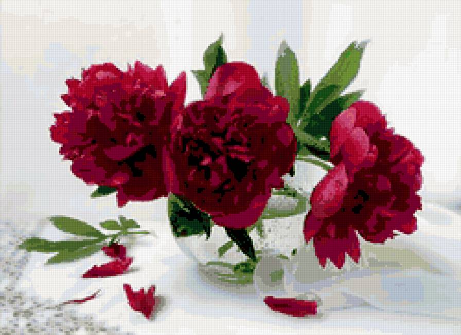 Самые-самые - натюрмотр, пионы, цветы - предпросмотр