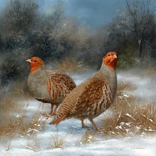 Схема вышивки «птицы»