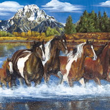 Схема вышивки «лошади»