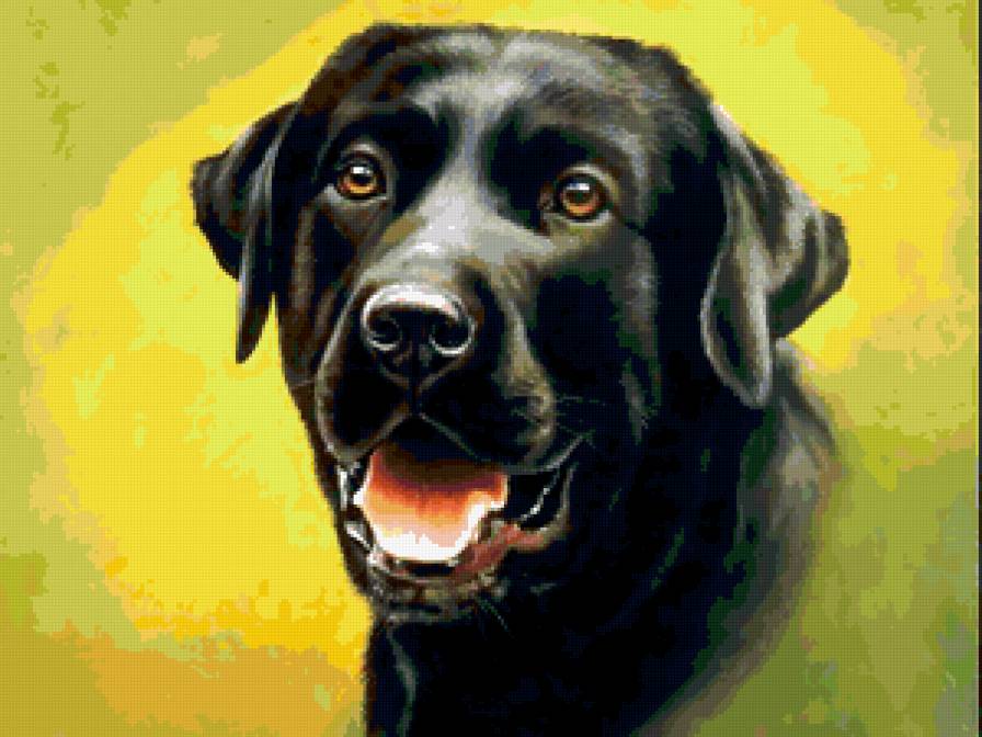 №331472 - собака - предпросмотр