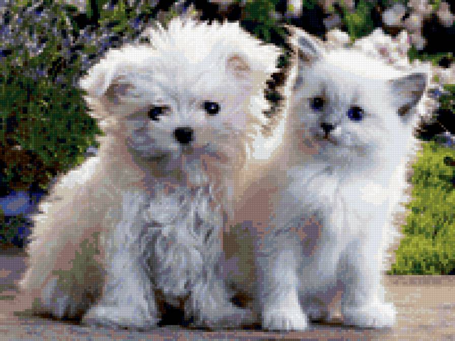 №331513 - предпросмотр