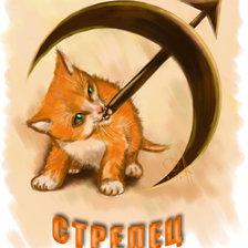 Схема вышивки «знаки зодиака.Стрелец»