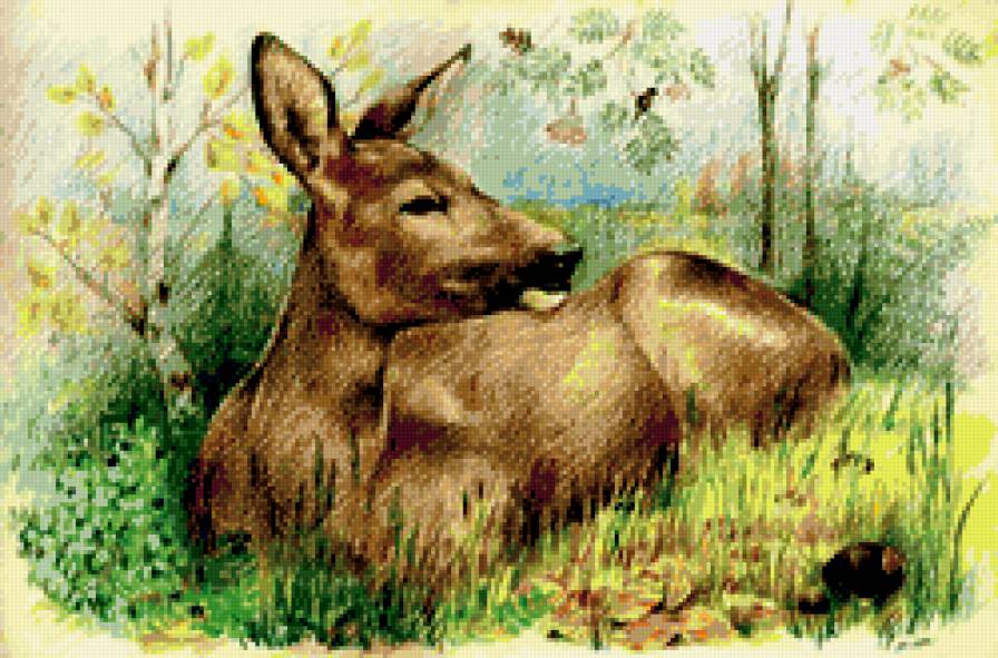 олень - предпросмотр