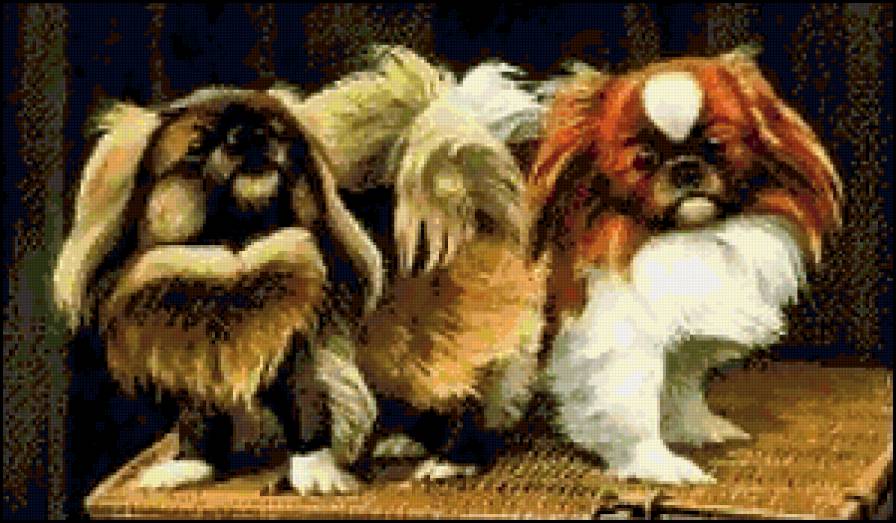 собачки - животные - предпросмотр