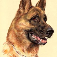 Оригинал схемы вышивки «собака» (№331838)